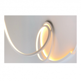 NEON 1010 2D  