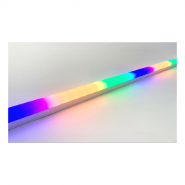 NEON 2D COLOR  