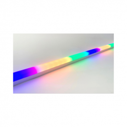 NEON 2018 2D V 