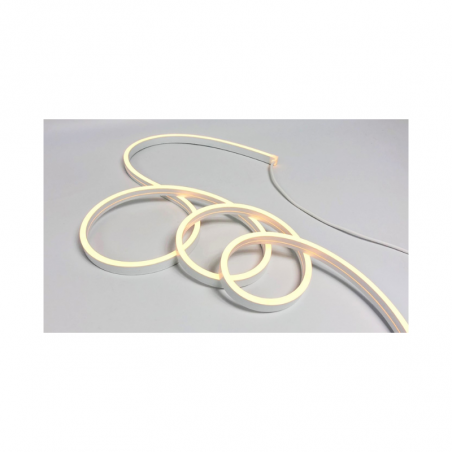 NEON 1020 2D 