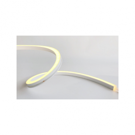 NEON 1515 2D  