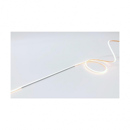 NEON 0505 2D 