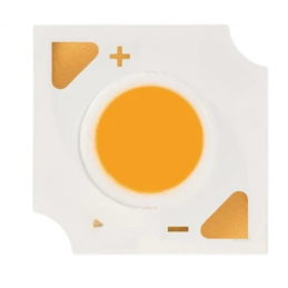 COB 24V Constant Voltage 