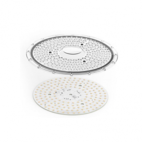 RdLED 254mm  