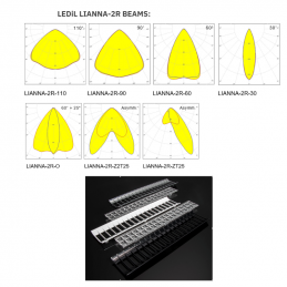 TP-33 LIANNA-2R+SHADE 