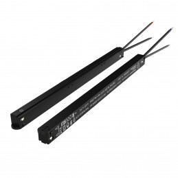 LV100W48VDC-T-B-NX 