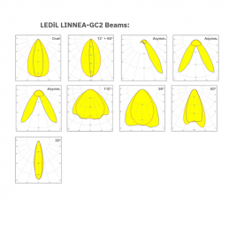 TP-06 LINNEA GC-2 