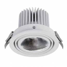 Recessed Adjustable Downlight 125mm  
