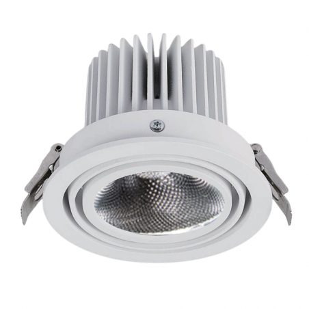 Recessed Adjustable Downlight 125mm  