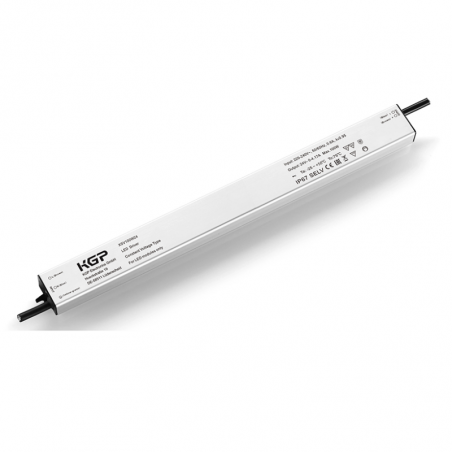 XSV100W24CG 