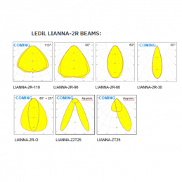 TP-25 LIANNA-2R 